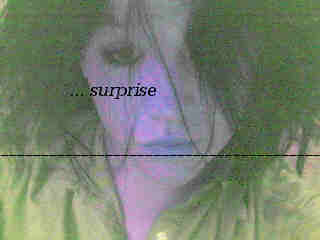 funnycolours.jpg
