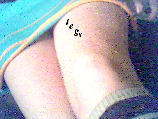 legs.jpg